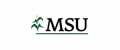 msu